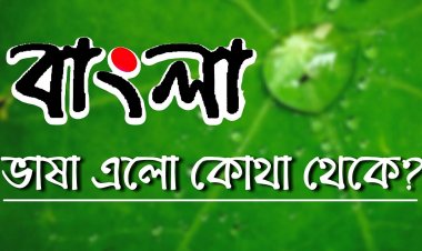 বাংলা ভাষার উদ্ভব ও বিকাশ